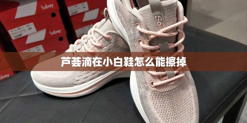 芦荟滴在小白鞋怎么能擦掉