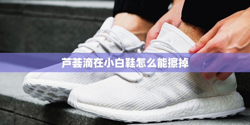 芦荟滴在小白鞋怎么能擦掉