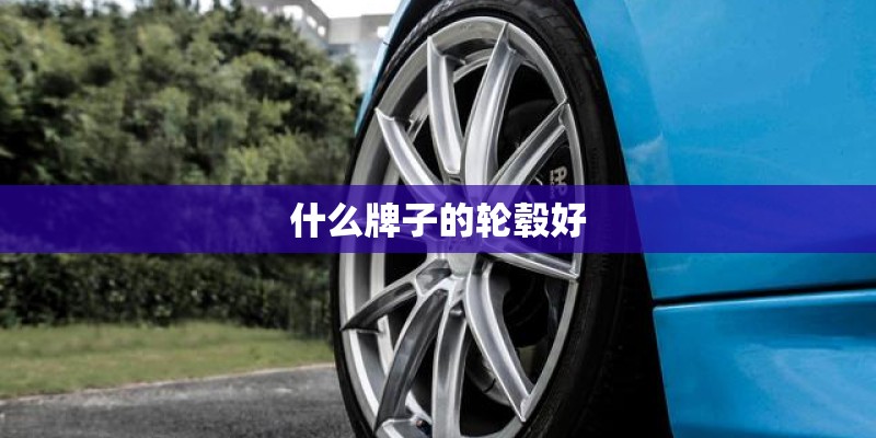 什么牌子的轮毂好