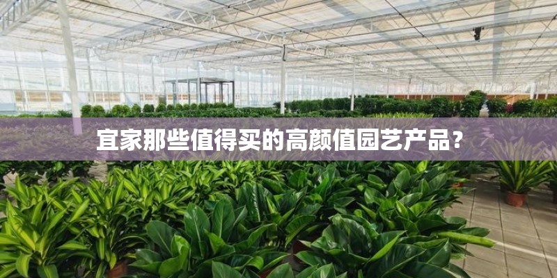 宜家那些值得买的高颜值园艺产品？