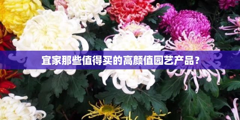 宜家那些值得买的高颜值园艺产品？