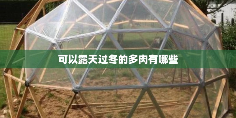 全国房地产经纪人证书是属于中级职称吗