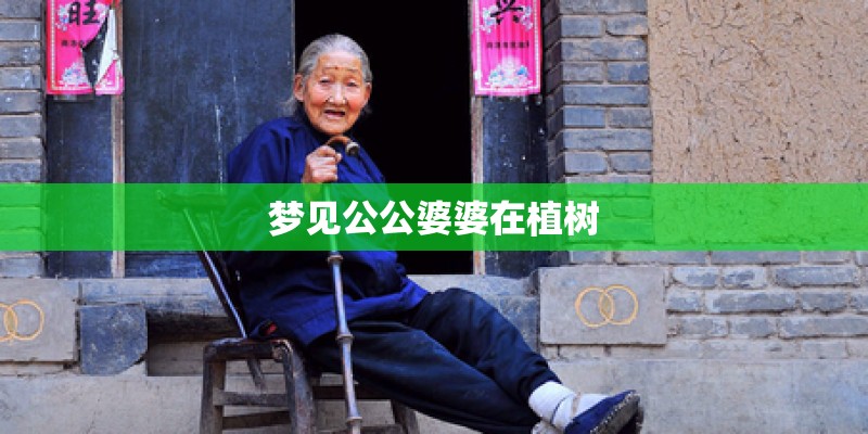 梦见公公婆婆在植树