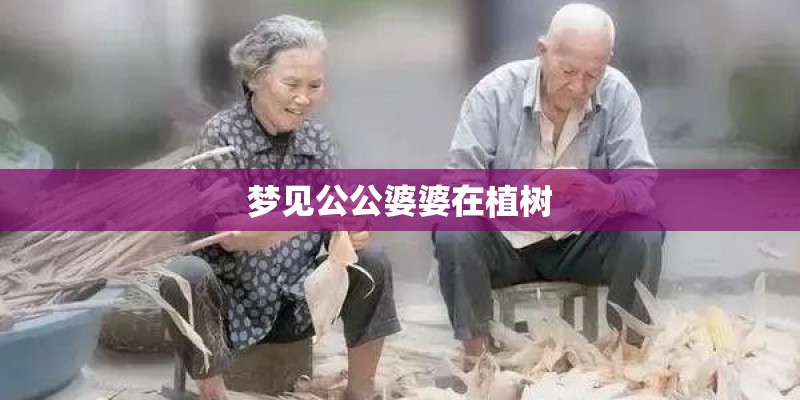 梦见公公婆婆在植树