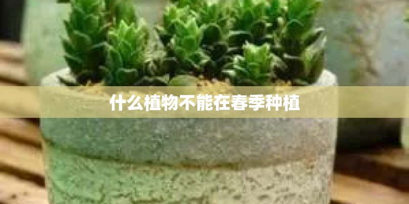 什么植物不能在春季种植