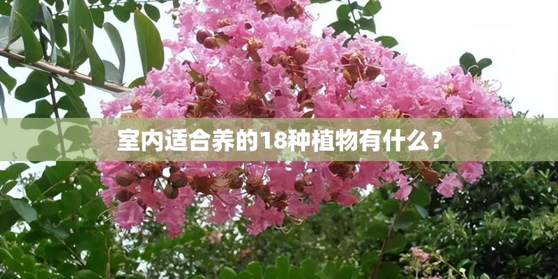 广东春节期间天气怎么样？