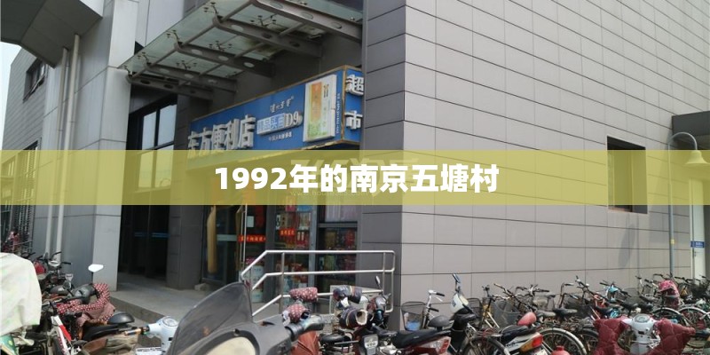 1992年的南京五塘村