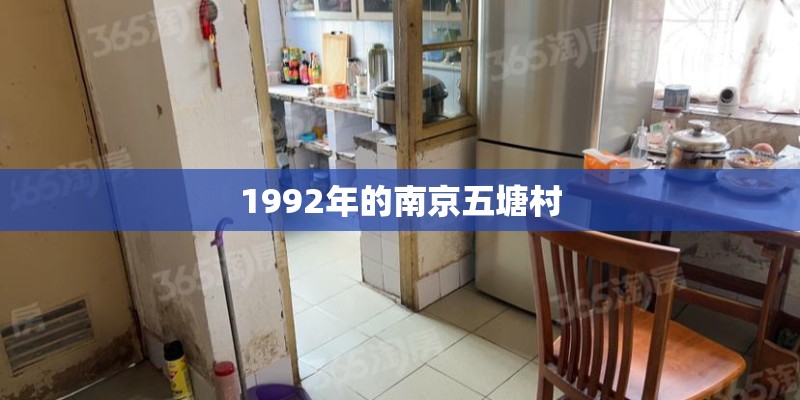 1992年的南京五塘村