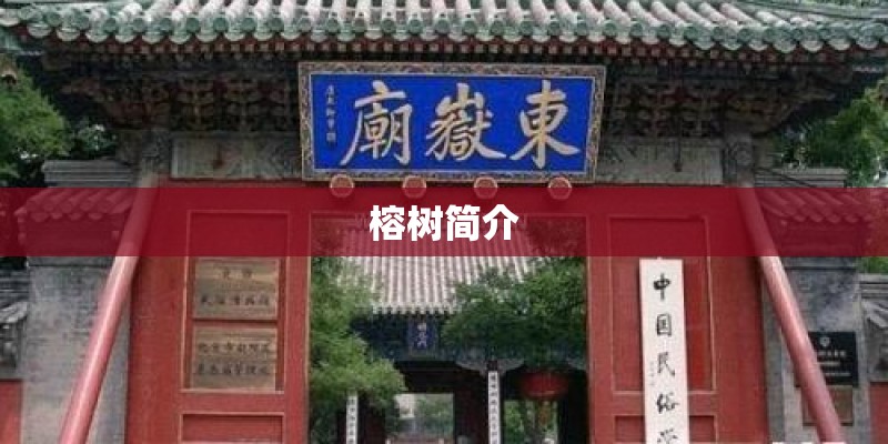 榕树简介 榕树简介