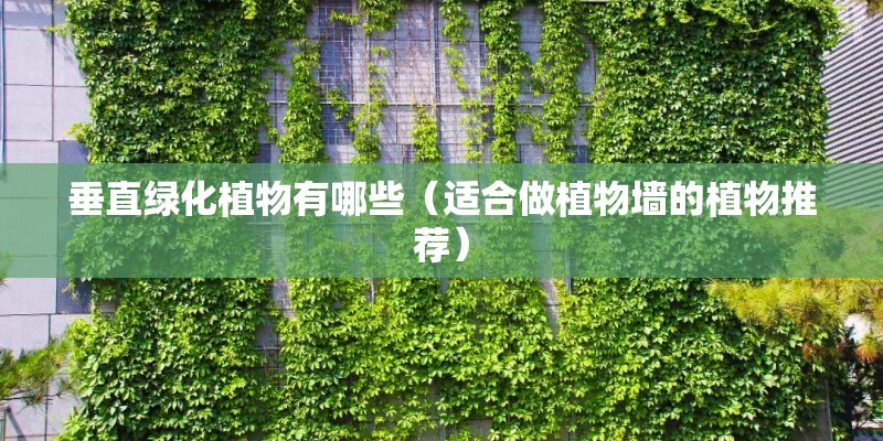 垂直绿化植物有哪些(适合做植物墙的植物推荐) 垂直绿化植物有哪些(适合做植物墙的植物推荐)