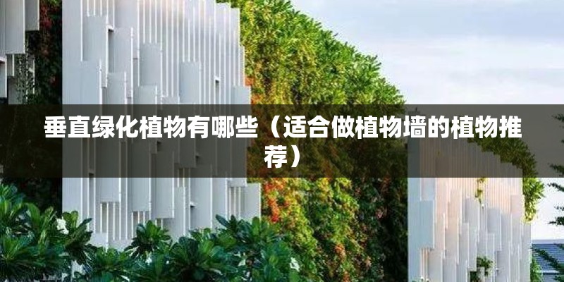 垂直绿化植物有哪些(适合做植物墙的植物推荐) 垂直绿化植物有哪些(适合做植物墙的植物推荐)