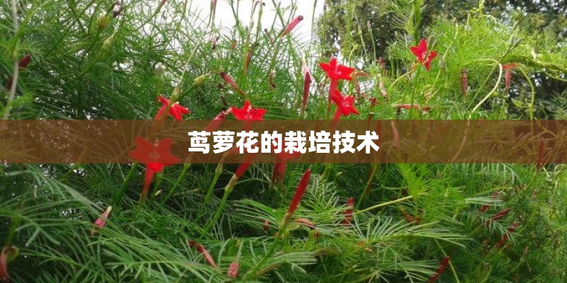 甘肃的气温多少度