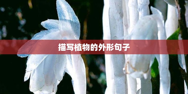 对食用菌加工需要哪些设备？