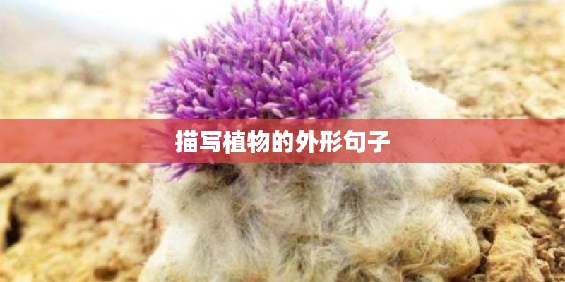 描写植物的外形句子