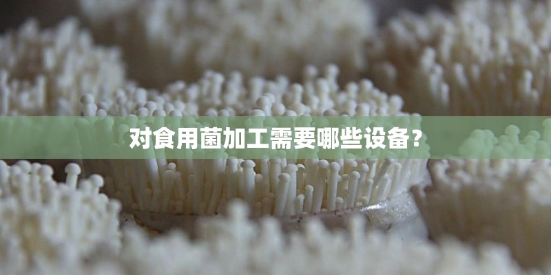 对食用菌加工需要哪些设备？