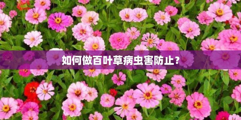 四川科技职业学院好不好