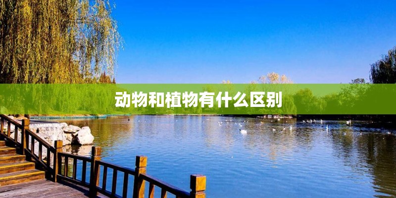 动物和植物有什么区别