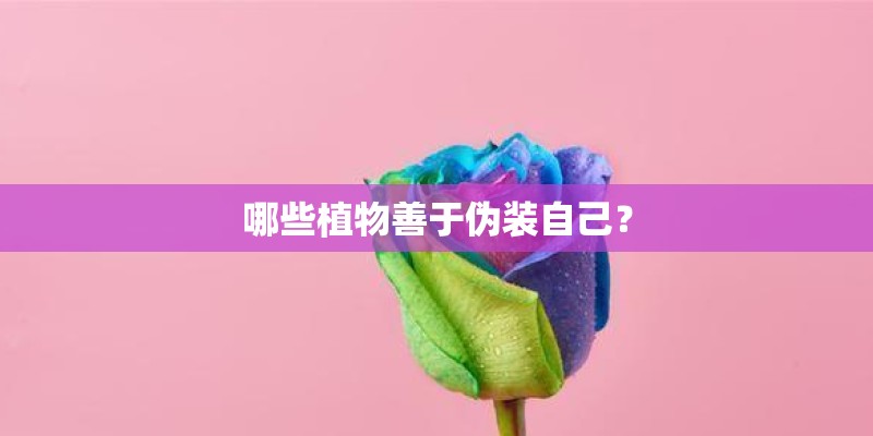 哪些植物善于伪装自己？