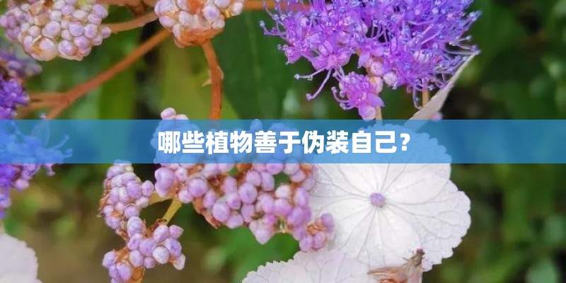 济南租房赶集网