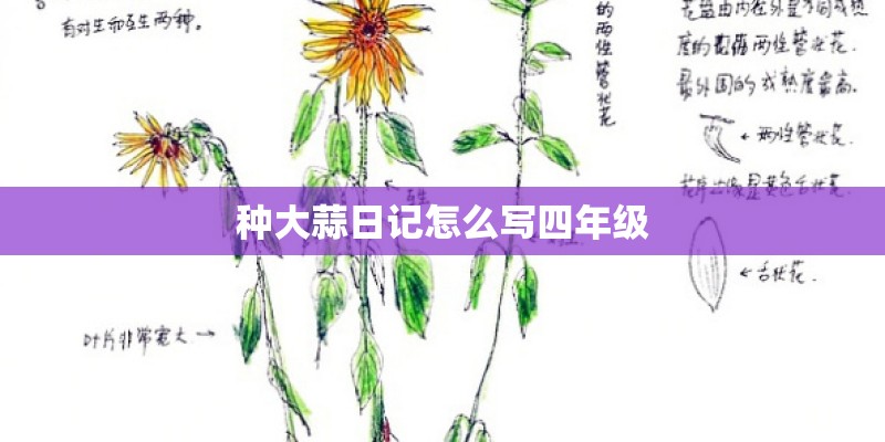 种大蒜日记怎么写四年级