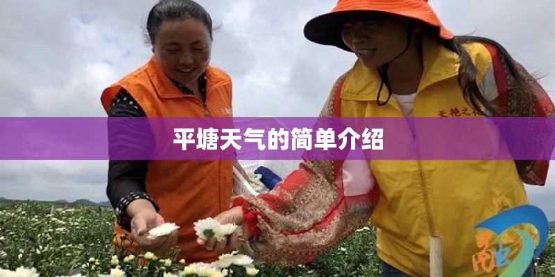平塘天气的简单介绍
