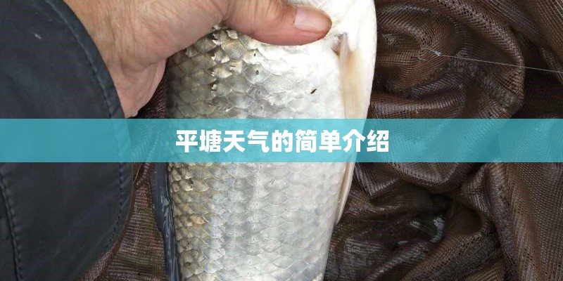 平塘天气的简单介绍