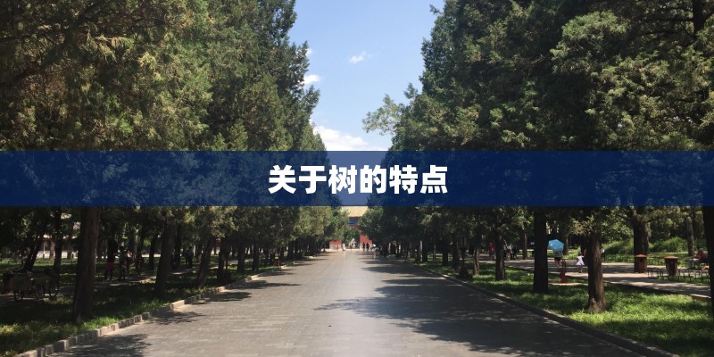 《威尼斯之夜》的阅读答案......