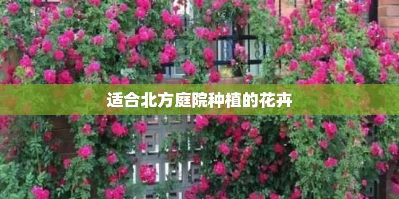 驾驶证扣3分可以学法减分吗