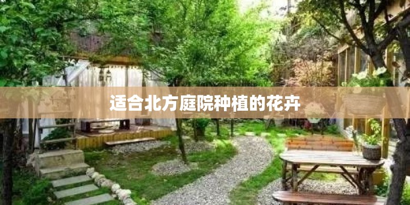 适合北方庭院种植的花卉
