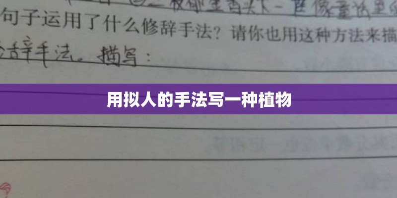 用拟人的手法写一种植物