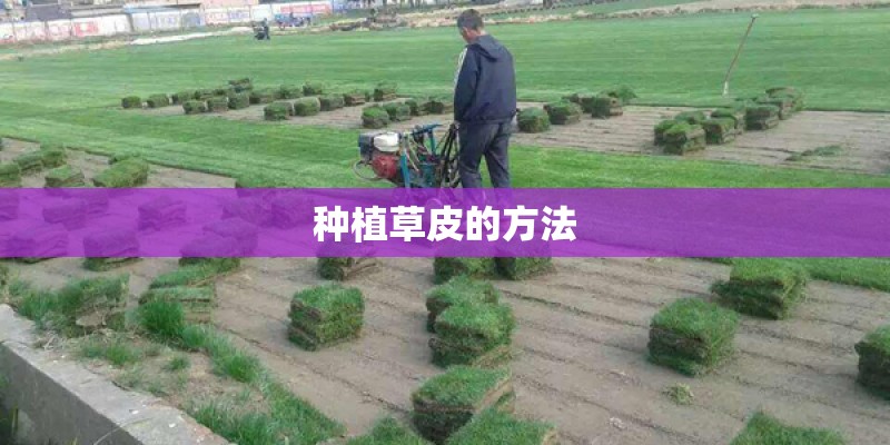 不到2万的电动汽车