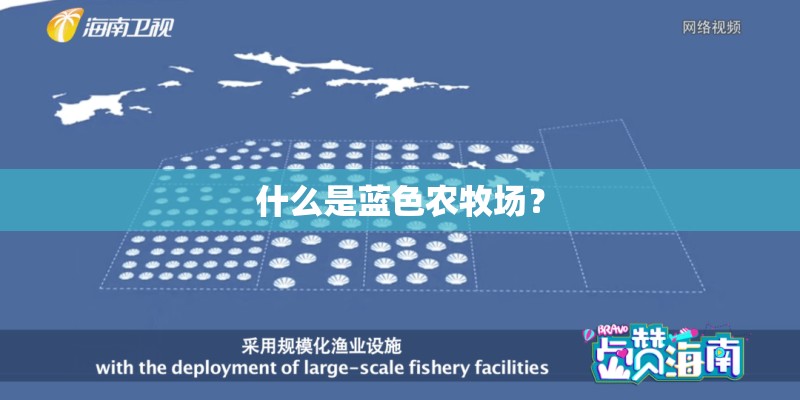 外语教学与研究出版社四年级下册