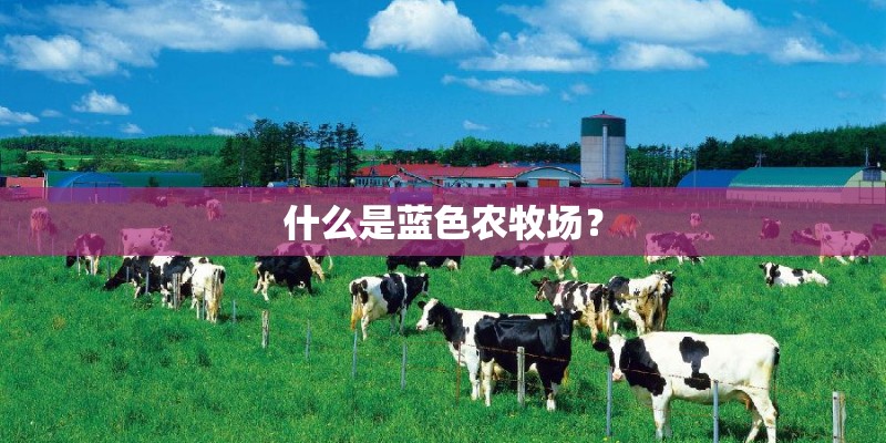 什么是蓝色农牧场？