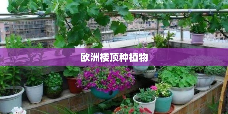 什么是蓝色农牧场？