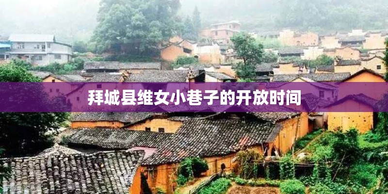 拜城县维女小巷子的开放时间