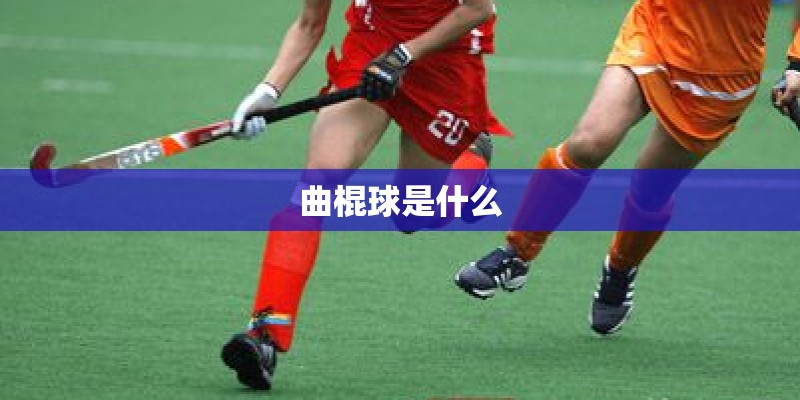 曲棍球是什么