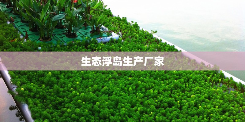 生态浮岛生产厂家