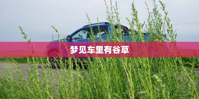 广州星河湾详情有哪些