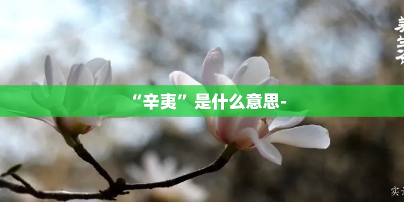 “辛夷”是什么意思-