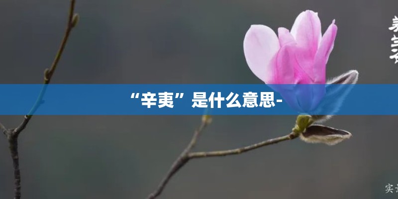 “辛夷”是什么意思-