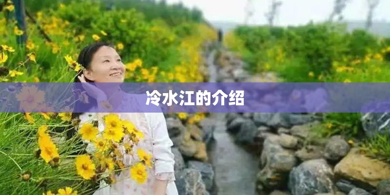 冷水江的介绍