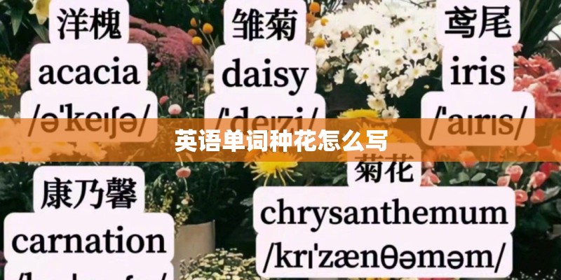 华晨宝马x3suv最新价格