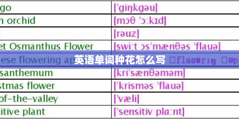 英语单词种花怎么写