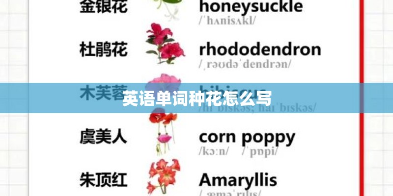 英语单词种花怎么写