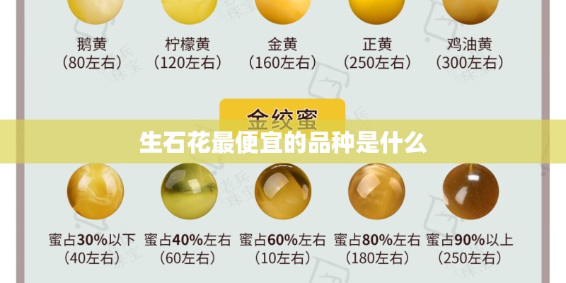生石花最便宜的品种是什么