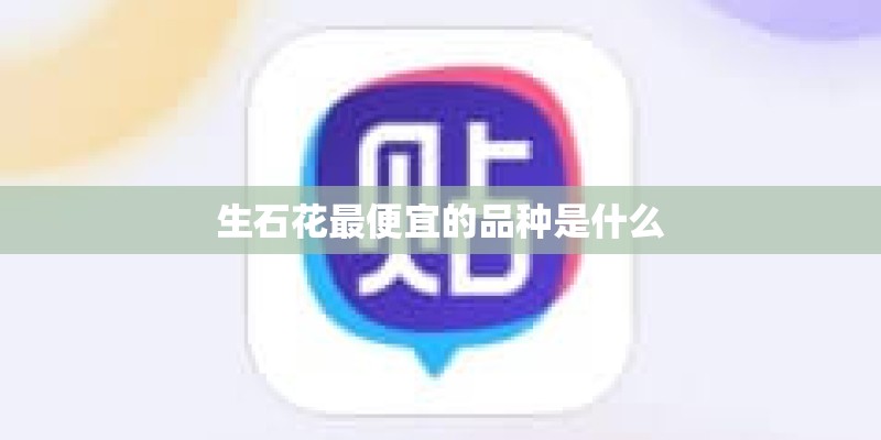 生石花最便宜的品种是什么