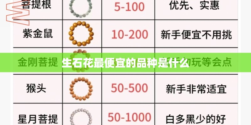 生石花最便宜的品种是什么