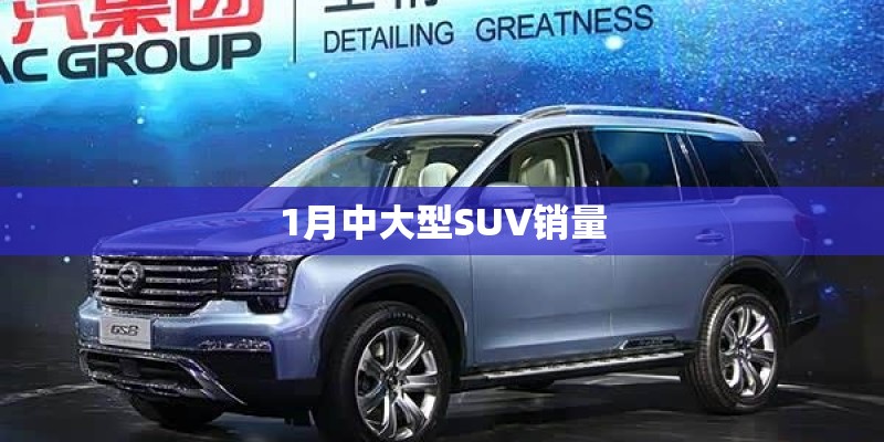 1月中大型SUV销量
