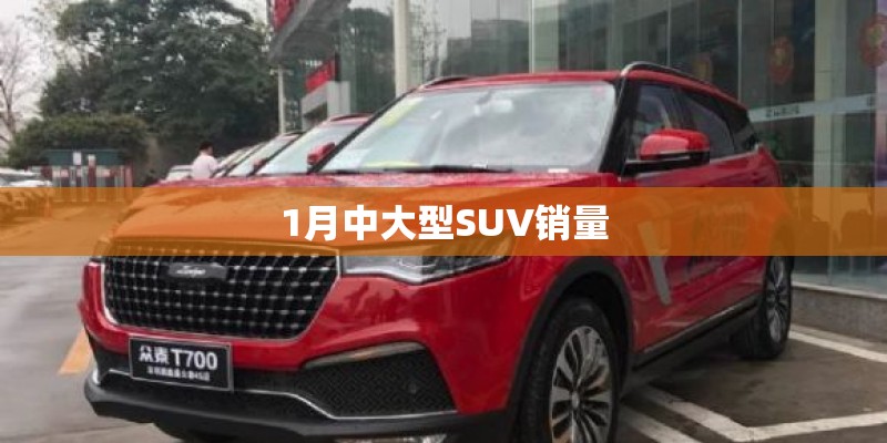 1月中大型SUV销量