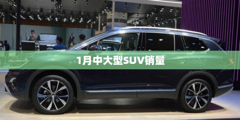 1月中大型SUV销量